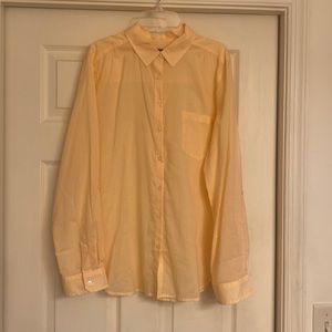 Ann Taylor Factory sheer blouse.  Color is pale peach/nude.  Size Large.